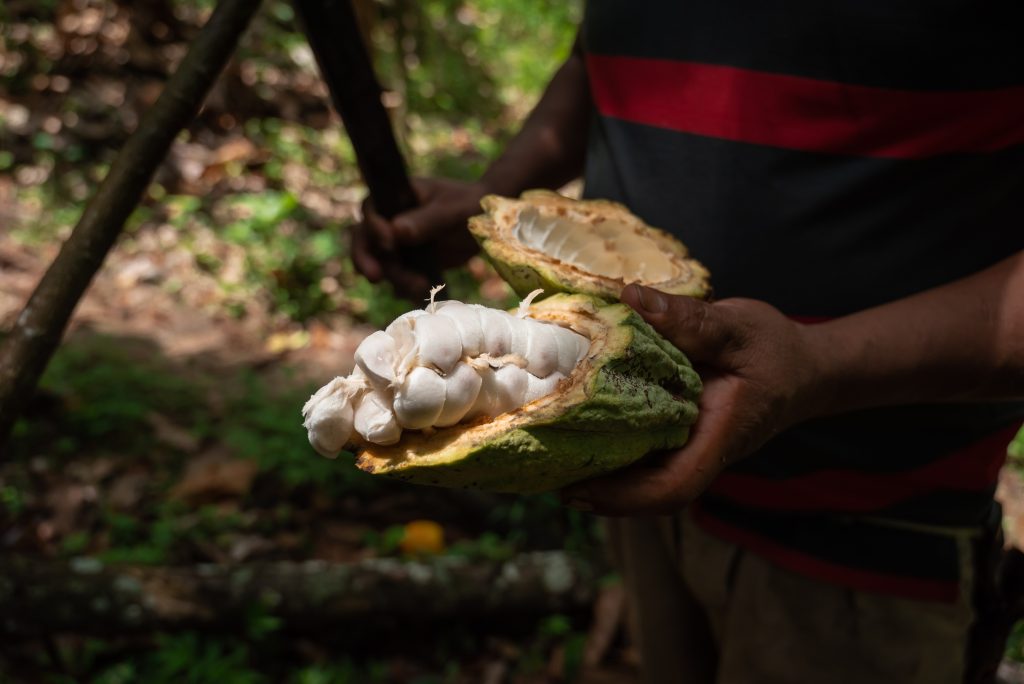 We often speak about resilient, strong supply chains at Elucid: specifically, how improving access to healthcare in smallholder farming communities contributes to that resilience. But what does that actually mean in practice?