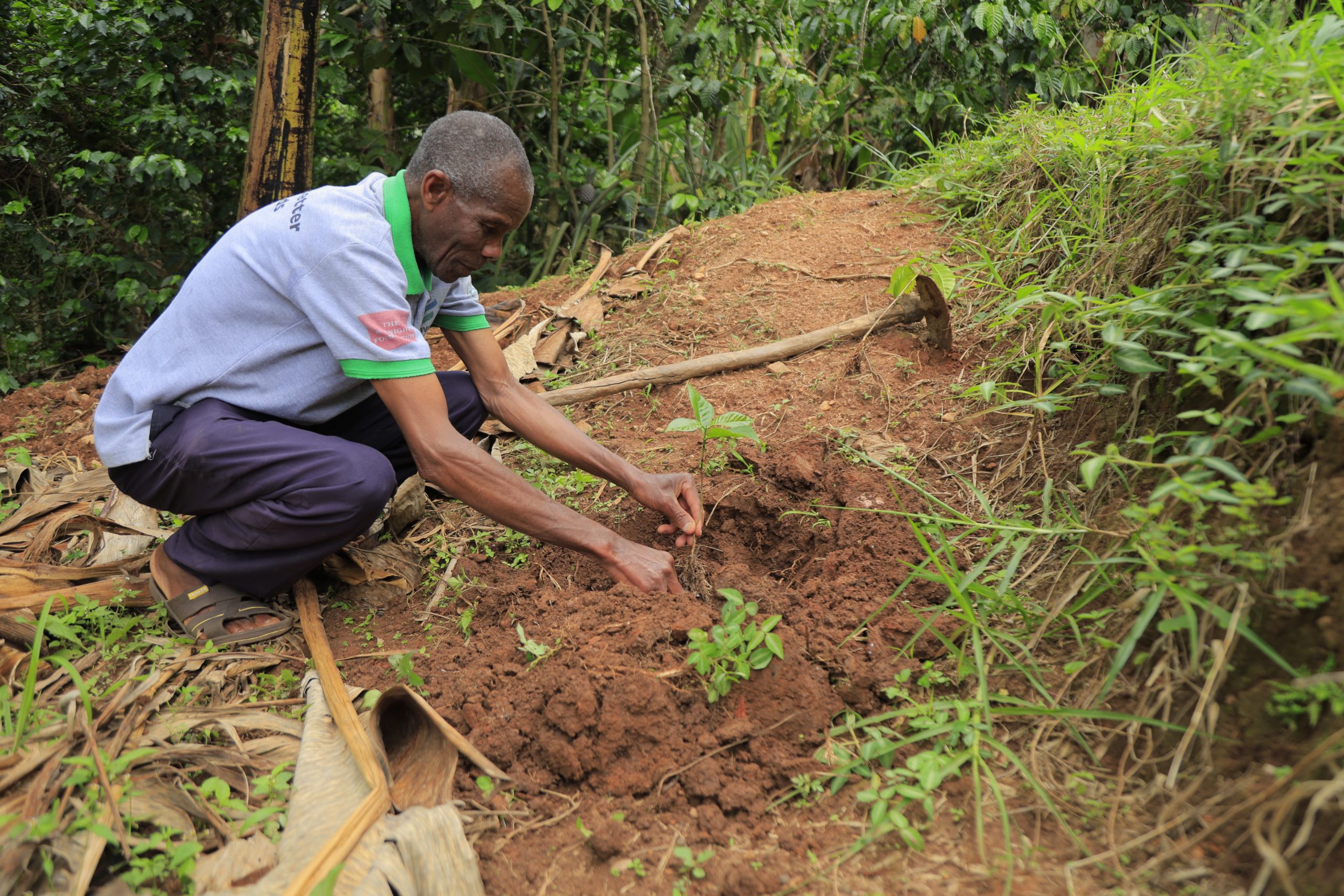 Our work isn't specific to any one crop, geography, or context. There are several reasons for this, but they can be condensed into three core aspects. In this blog, we'll dive into them: The Need, The Model, and The System.