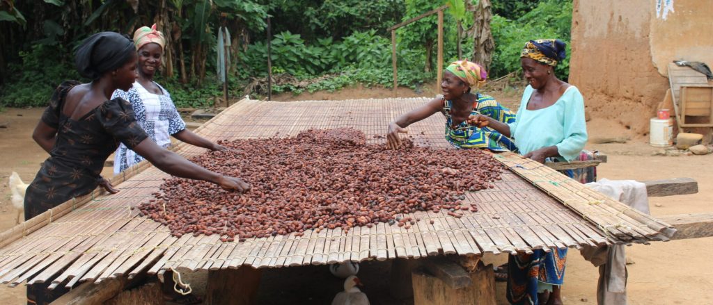 The long-term sustainability of the cocoa sector is inextricably linked to the physical and mental well-being of the smallholder farmers who underpin the global supply chain. This brief brings together the existing evidence on the health issues cocoa farmers face, their links to productivity and well-being, and the steps the cocoa industry can take to start investing in a solution.