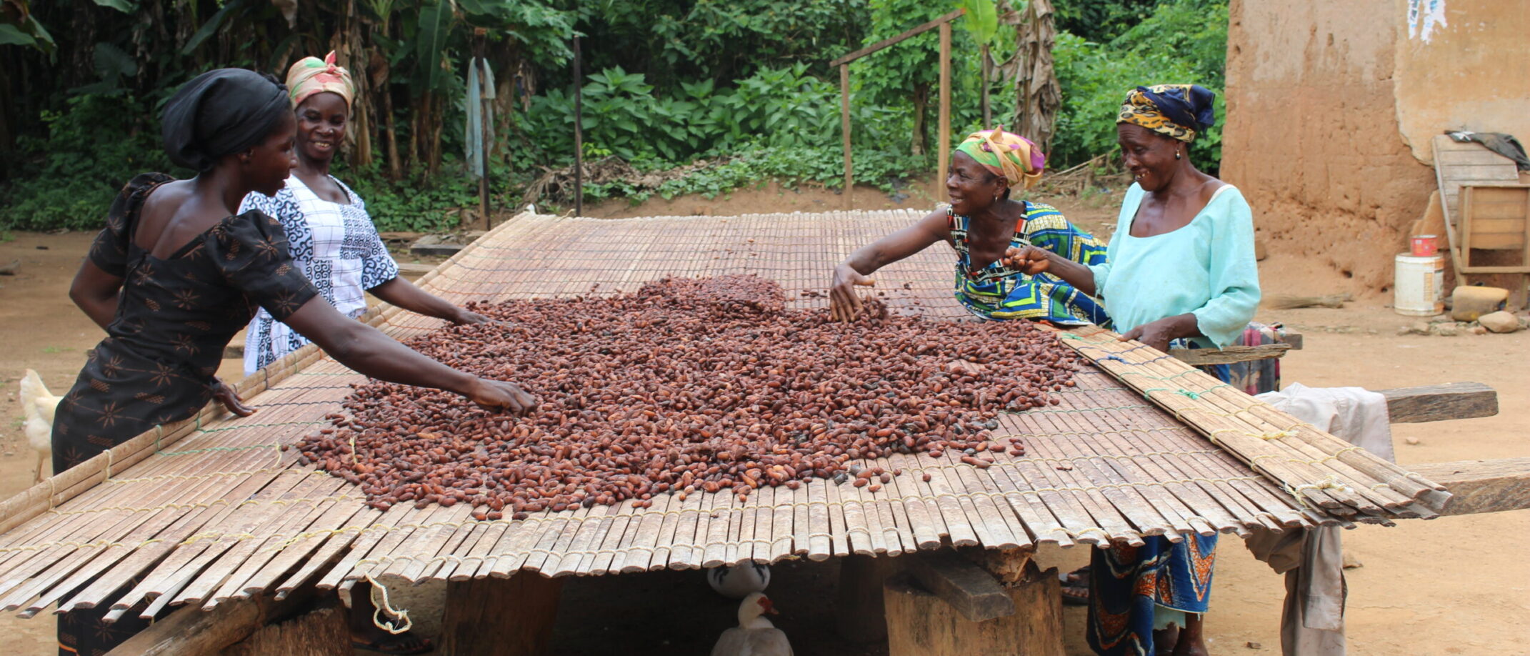 The long-term sustainability of the cocoa sector is inextricably linked to the physical and mental well-being of the smallholder farmers who underpin the global supply chain. This brief brings together the existing evidence on the health issues cocoa farmers face, their links to productivity and well-being, and the steps the cocoa industry can take to start investing in a solution.